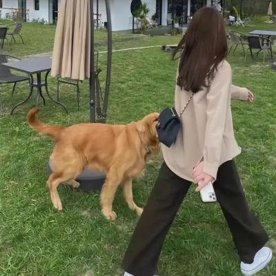 放荡的女皇